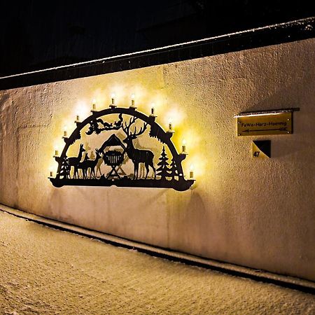 Fewo Harz Haennig 1 Wieda Bagian luar foto