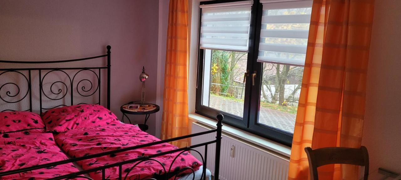 Fewo Harz Haennig 1 Wieda Bagian luar foto