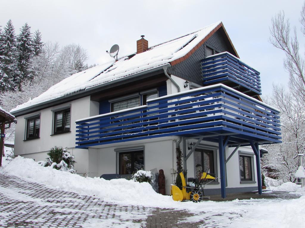 Fewo Harz Haennig 1 Wieda Bagian luar foto