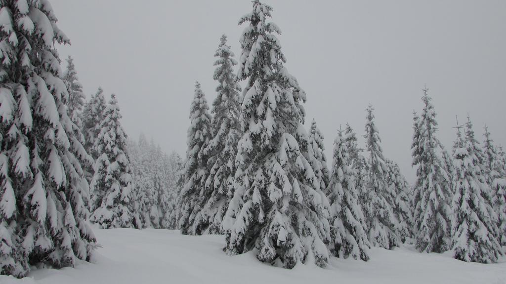 Fewo Harz Haennig 1 Wieda Bagian luar foto