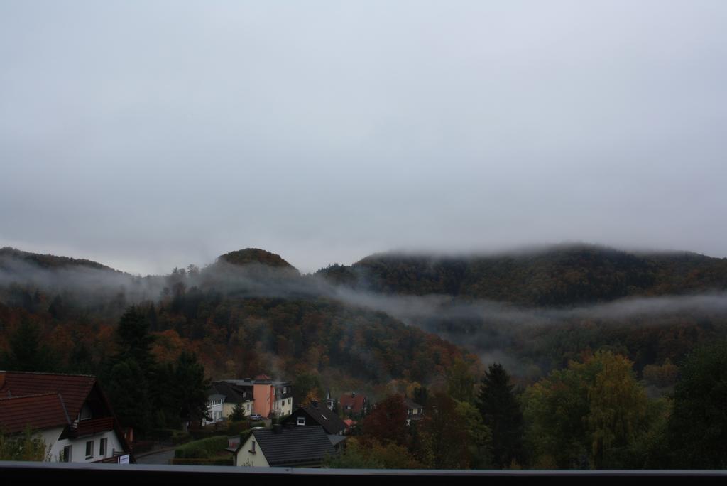 Fewo Harz Haennig 1 Wieda Bagian luar foto
